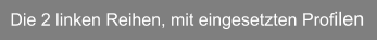 Die 2 linken Reihen, mit eingesetzten Profilen